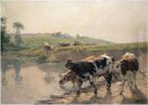Cattle In A Pasture Cattle In A Pasture
