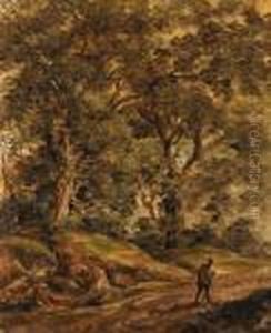 Waldlandschaft Waldlandschaft