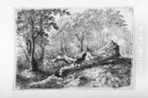 Ansichten Aus Der Munchner Umgebung Und Anderes by Georg Maximilian Johann Von Dillis