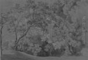 A Wooded Landscape A Wooded Landscape
