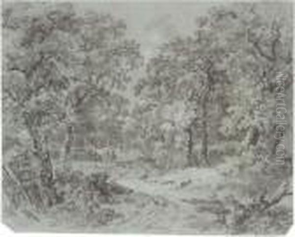 A Lane Running Through Woodland - view 1