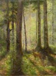 Rehbock Auf Waldlichtung