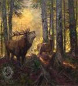 Woods Inside With Deer And Doe