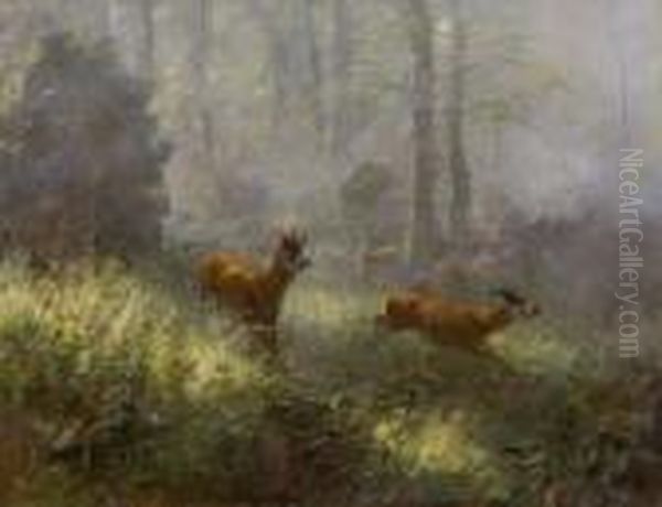 Treibender Rehbock. - view 1