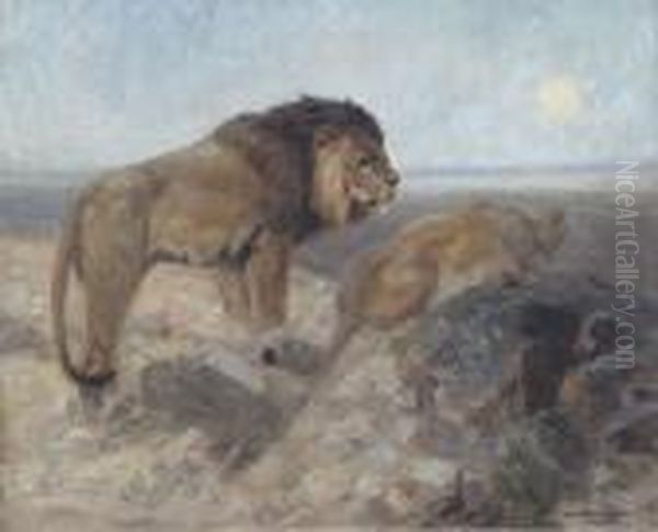 Leones - view 1