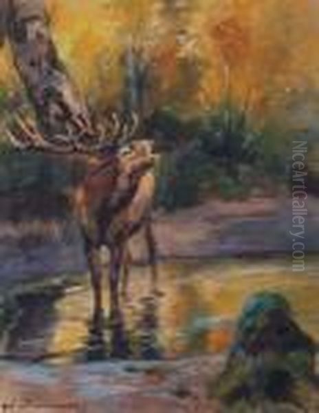 Rohrender Hirsch An Der Tranke - view 1