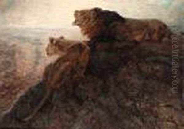 Lion And Lioness On A Rocky Outcrop - view 1