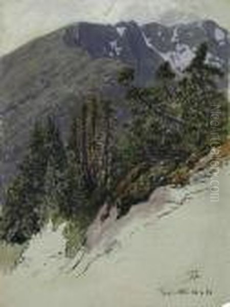Norwegischeberglandschaft - view 1