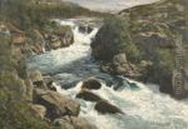 Norwegische Flusspartie Im Sommer. - view 1