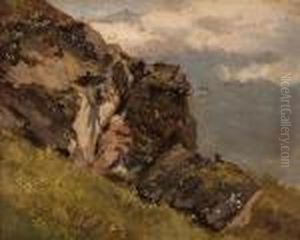 Fels Im Gebirge
