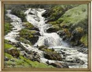 Wasserfall Am Naerofjord Wasserfall Am Naerofjord