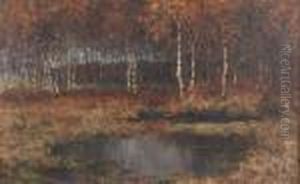 Abendstimmung Im Darswald by Elisabeth Von Eicken