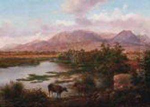 Marsh Near Paestum