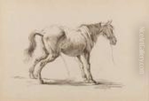 A Standing Horse Urinating - view 1