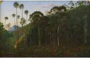 Cabbage Trees Near The Shoalhaven River, N.s.w. by Eugene von Guerard