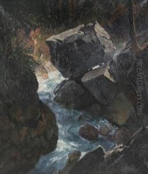 Waldschlucht In Der Floite (zillertal) - view 1