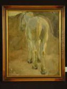 Schimmel by Robert Von Haug