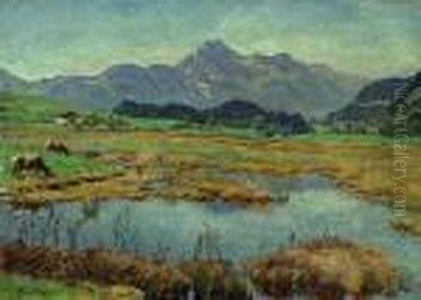 Pasture Landscape In The Alpine Lowlands - view 1