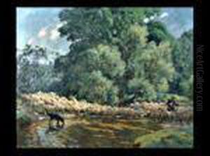 Der Hirte Und Seine Schafherde Am Flusslauf