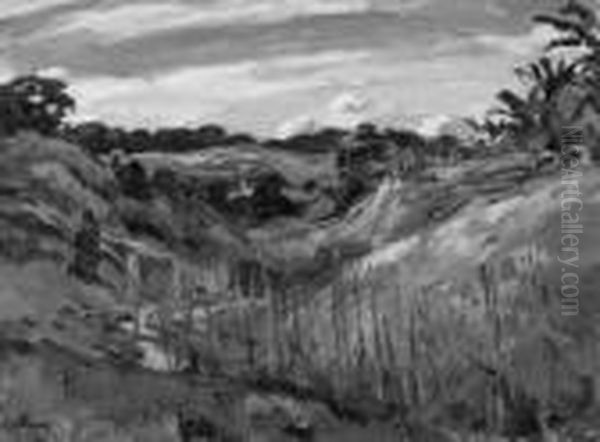 Tropisches Tal - view 1