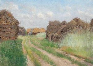 Sentiero Di Campagna Con Biche Di Paglia Sentiero Di Campagna Con Biche Di Paglia