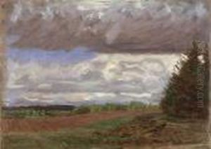 Feld Mit Tannen Rechts Feld Mit Tannen Rechts
