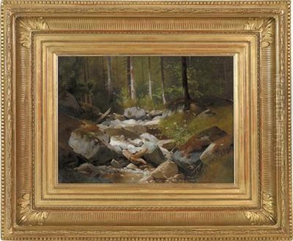 Grazer Und Wiener Akademie Unter H. Konigsbrunn Und H. Darnaut)waldlichtung - view 1