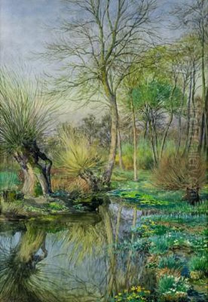 Aulandschaft - view 1