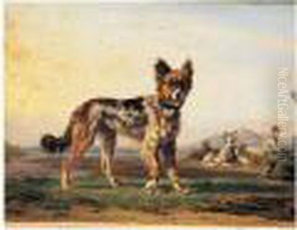 Chien De Berger Pres D'un Troupeau - view 1