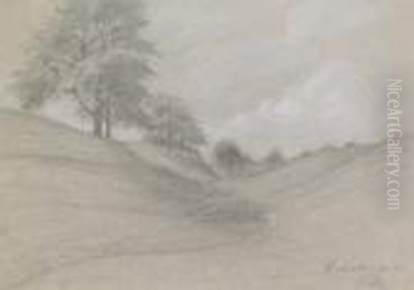 Baumbestandene Landschaft.
Bleistiftzeichnung, Weis Gehoht, Auf Graublauem Butten. 19,8 X 27,8 Cm.
Signiert Und Bezeichnet: Wachwitzergrund. - Beigegeben: Eine Weitere
Landschaftszeichnung Des Kunstlers. - view 1