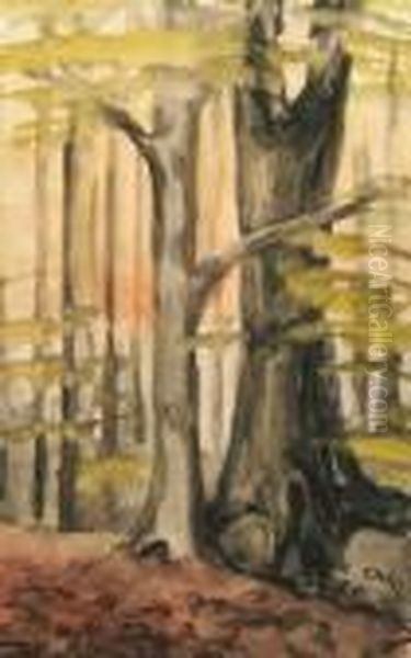 Waldlandschaft - view 1