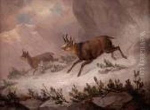 Zwei Gamsen Im Hochgebirge by Franz Xavier Von Pausinger
