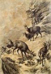 Gamsen Im Gebirge by Franz Xavier Von Pausinger