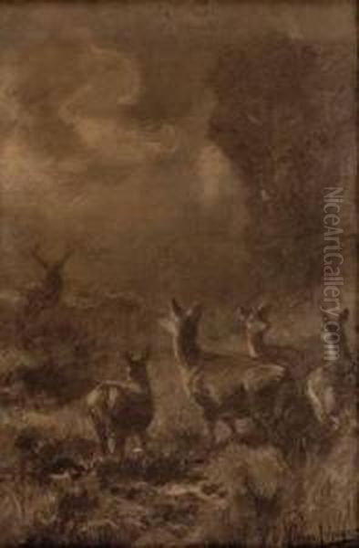 Rotwildrudel In Waldlandschaft Bei Mondlicht - view 1