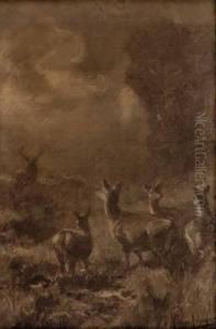 Rotwildrudel In Waldlandschaft Bei Mondlicht by Franz Xavier Von Pausinger