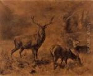 Hirsche Und Rehe In Einer Waldlichtung by Franz Xavier Von Pausinger