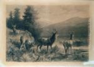 Hirsche An Einem Bergsee by Franz Xavier Von Pausinger