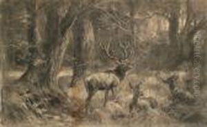 Hirsche Und Hirschkuhe Im Wald by Franz Xavier Von Pausinger