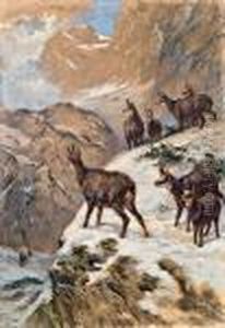 Gemsen Im Gebirge by Franz Xavier Von Pausinger