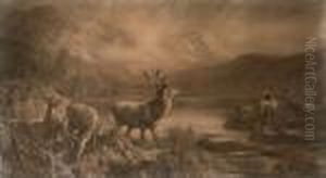 Rotwild Am Ufer Eines Sees by Franz Xavier Von Pausinger