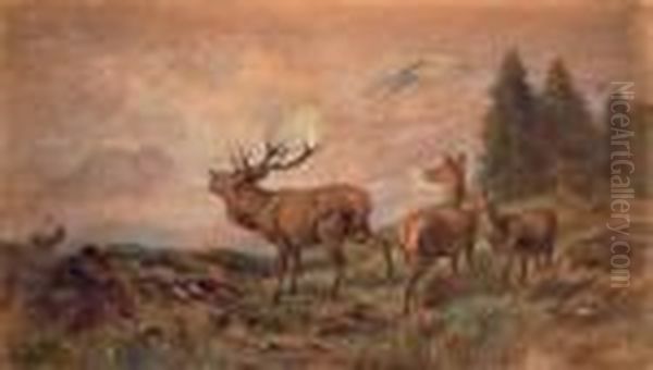 Hirschfamilie - view 1