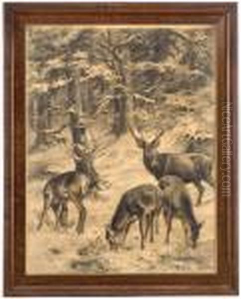 Rotwild Im Winterwald - view 1