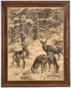 Rotwild Im Winterwald by Franz Xavier Von Pausinger