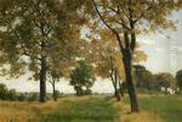 Herbstlandschaft - view 1