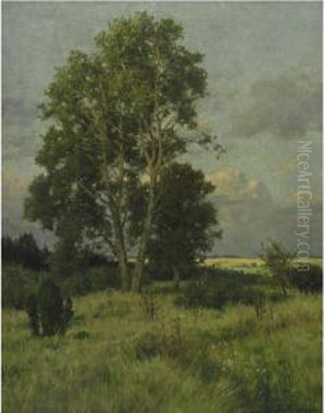 Sunlit Landscape - view 1