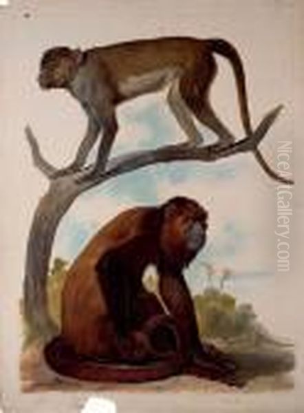 Studies Of Two Monkeys - view 1