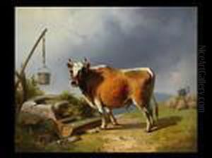 Kuh An Der Tranke by August Von Pelzeln