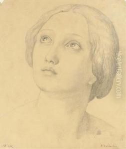 Head Of A Woman Looking Up
