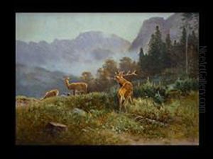 Hirschfamilie Im Hochgebirge