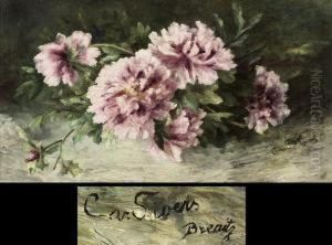 Blumenstilleben by Clara Von Sivers